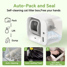 Self-Cleaning Cat Litter Box