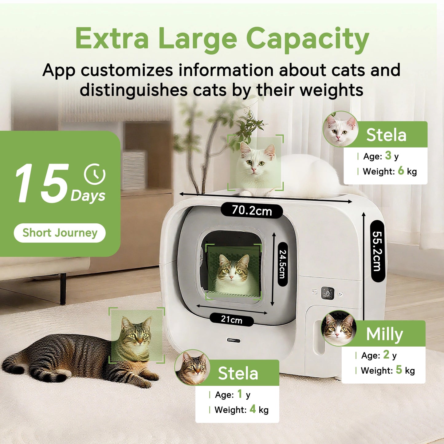 Self-Cleaning Cat Litter Box