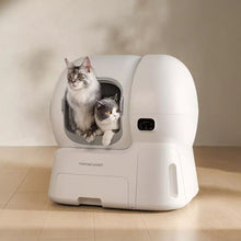 Self-Cleaning Litter Box CS106