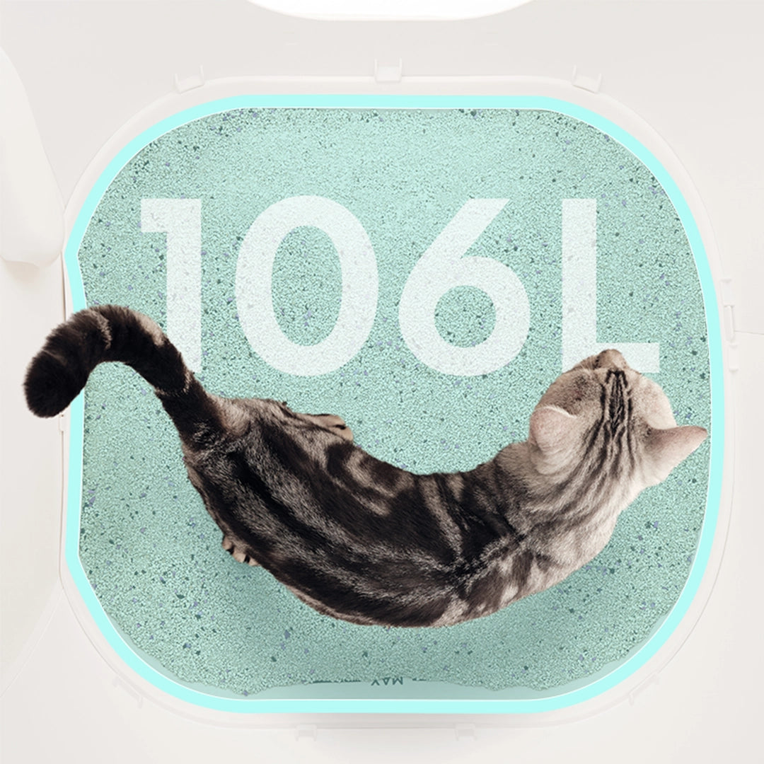 Self-Cleaning Litter Box CS106
