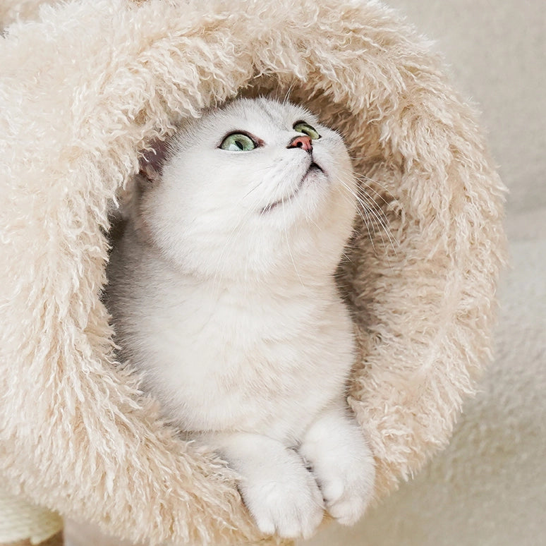 Sheep Cat Tree