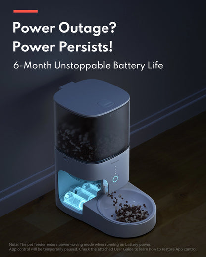 Smart Automatic Cat Feeder