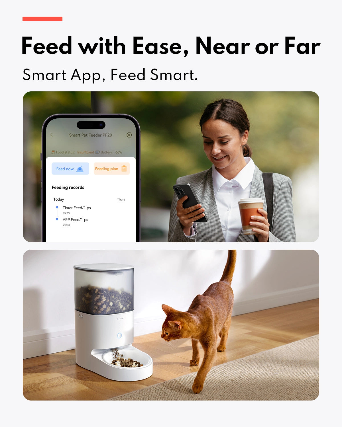 Smart Automatic Cat Feeder