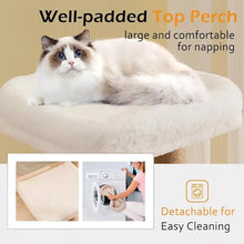 Solid Wood Cat Tree