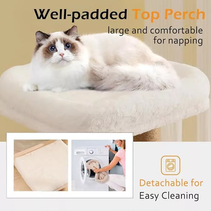 Solid Wood Cat Tree
