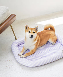 Edged Pet Cooling Mat