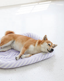 Edged Pet Cooling Mat