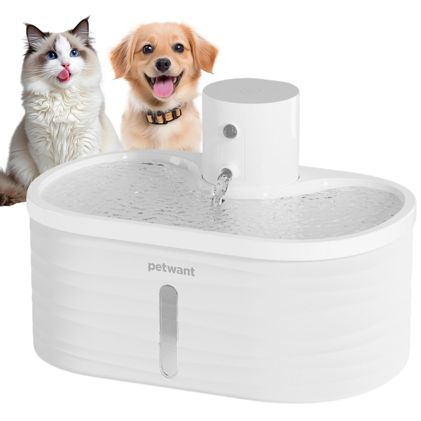 2.5L Translucent Cat Fountain