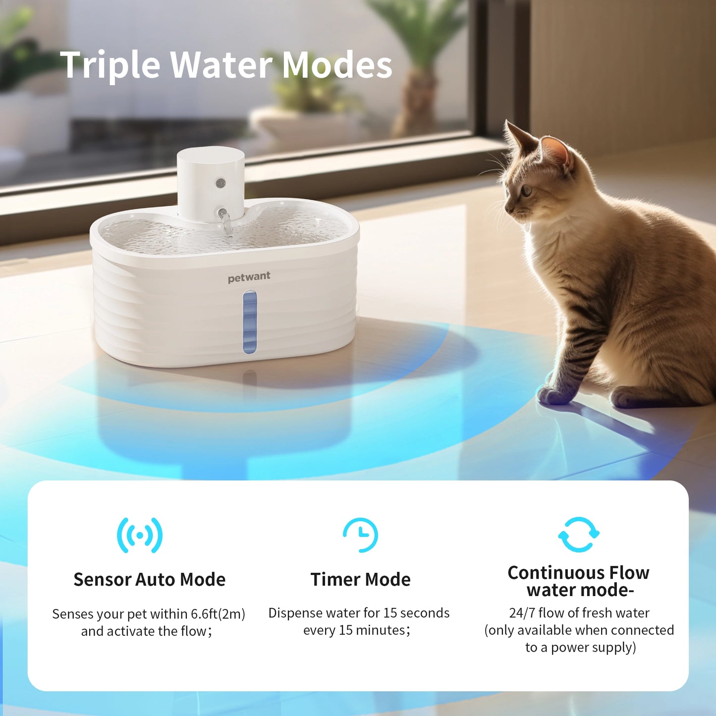2.5L Translucent Cat Fountain