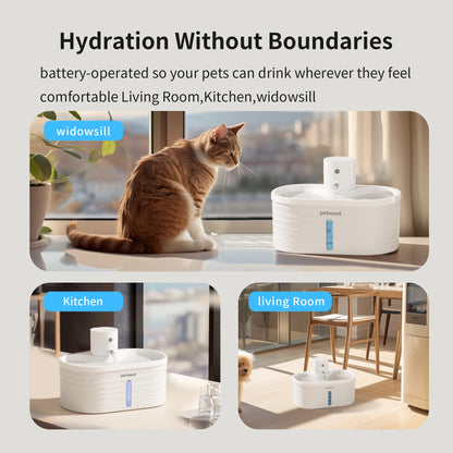 2.5L Translucent Cat Fountain