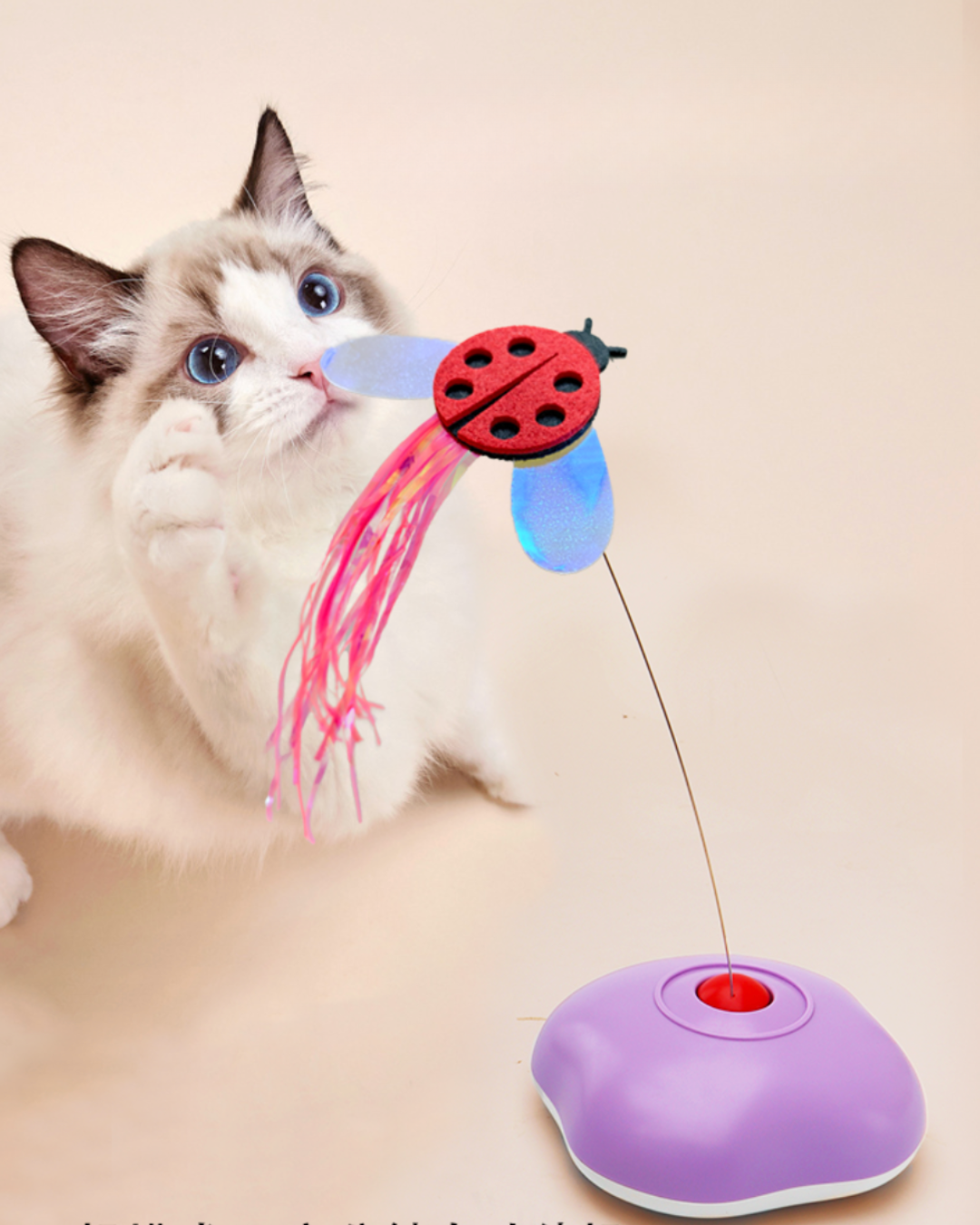 Untitled design (20).png__PID:f0aa516f-2e80-494e-8cf3-c49c19b5bc1c