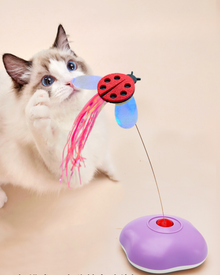 Untitled design (20).png__PID:f0aa516f-2e80-494e-8cf3-c49c19b5bc1c