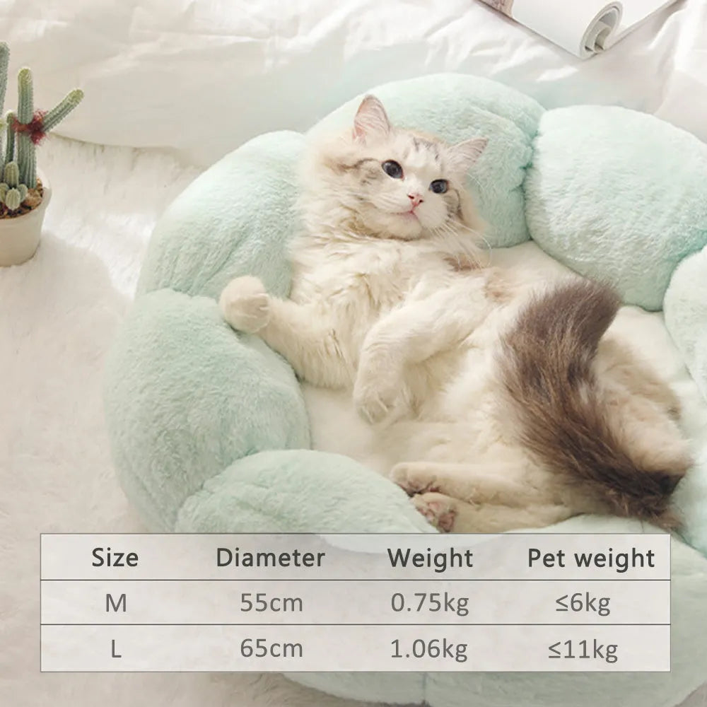 Ergonomic Pet Bed size