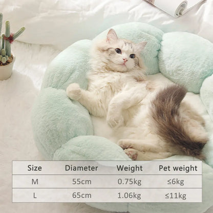 Ergonomic Pet Bed size