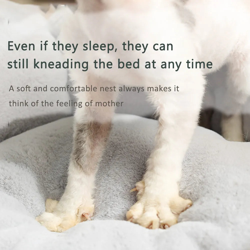 Ergonomic Pet Bed Features