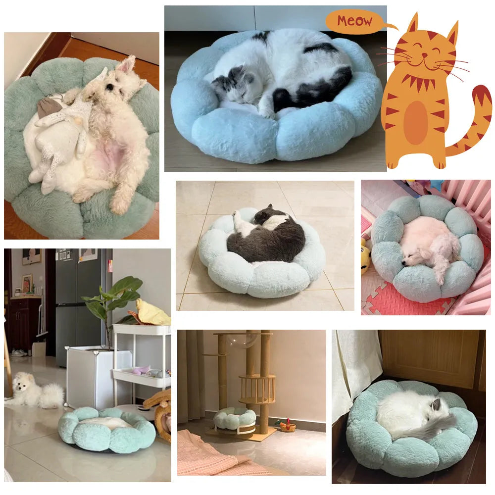 Ergonomic Pet Bed Usage scenarios