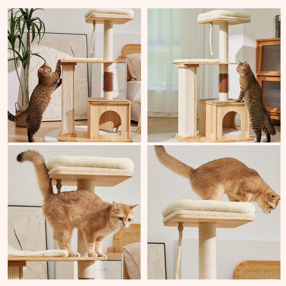 Multi-Level Cat Tower Usage scenarios