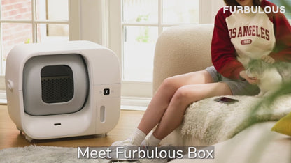 Self-Cleaning Cat Litter Box