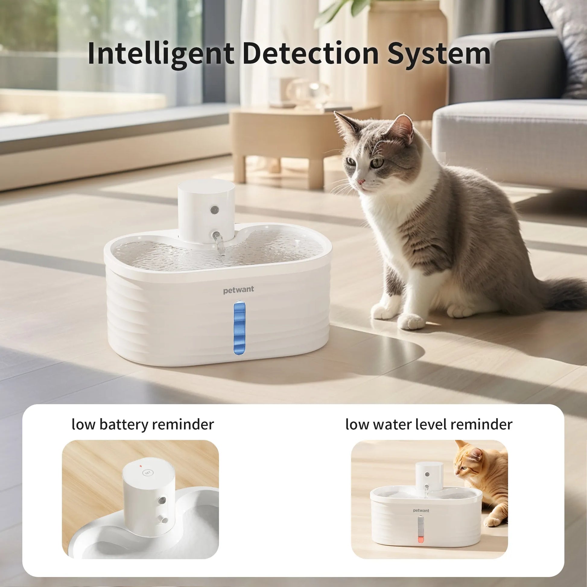 Translucent Cat Fountain for Small Pets benefit