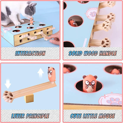 Tri-Mode Cat Scratcher Toy Features