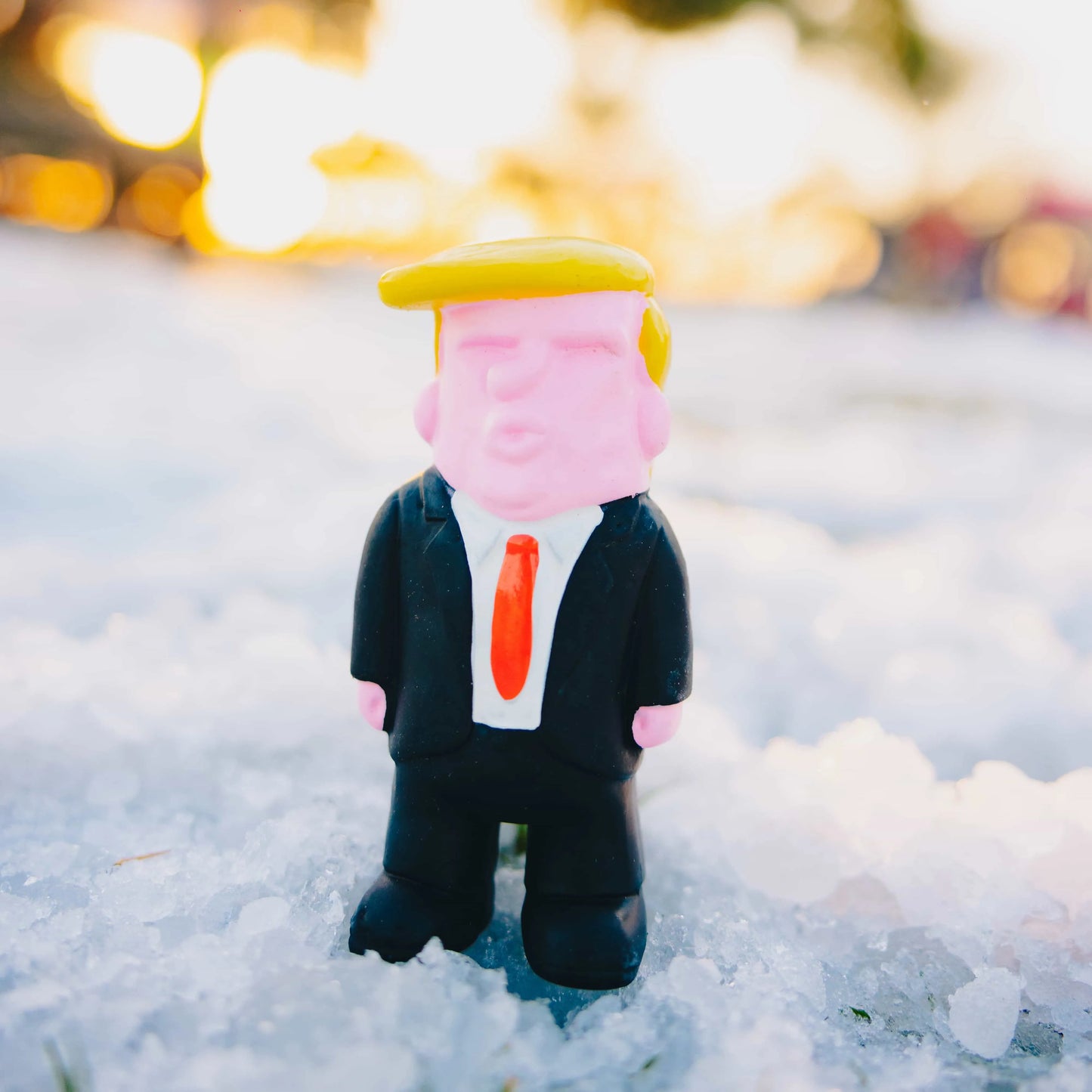 Trump Chew Toy 